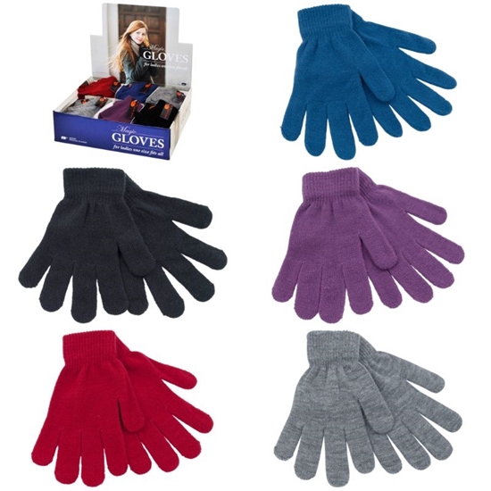 Picture of £1.00 LADIES MAGIC GLOVES (48)