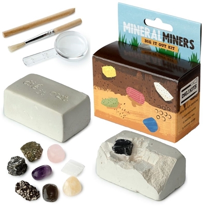 Picture of £2.99 MINERALS & GEMS DIG OUT KITS