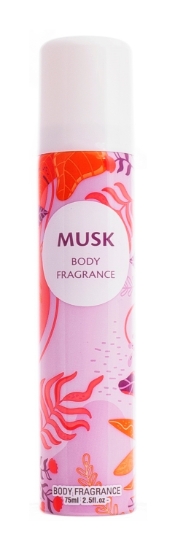 Picture of £1.00 LADIES BODY SPRAY 75ml MUSK