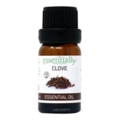 Picture of £2.99 PURE CLOVE ESSENTIAL OIL