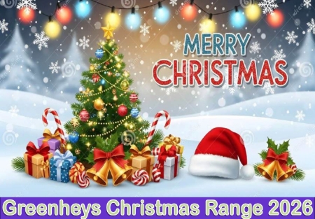 Picture for category XMAS BOOK